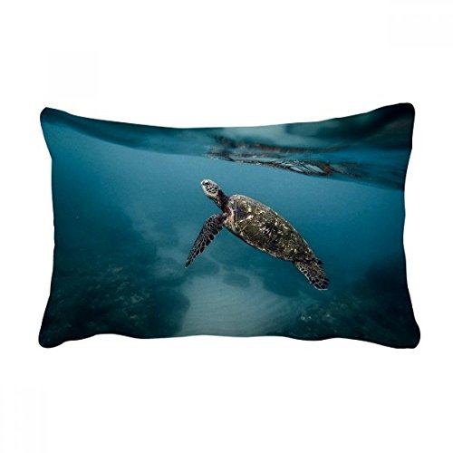 Coussin océan sciences tortue multicolore, le cadeau de décoration idéal pour la maison