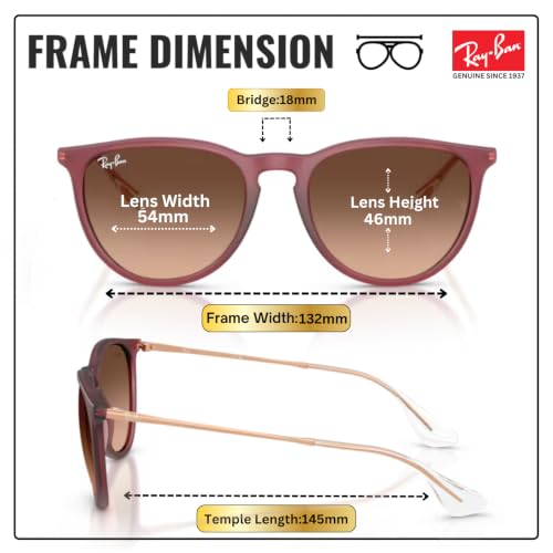 Image of Ray-Ban RB4171 ERIKA CLASSIC Phantos Shaped Sunglasses for Women with Official RAYBAN Eyewear Kit