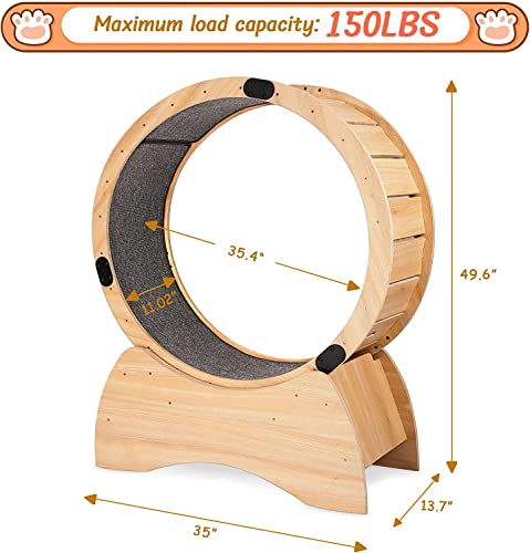 Cat Exercise Wheel for Indoor Cats: 39 Inch Large Cat Treadmill - Spinning Scratching Fun Running Wheel with Locking Mechanism - Loss Weight Device
