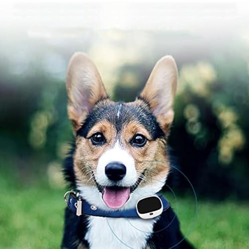 Wiederaufladbares kabelloses Hundezaunhalsband, Echtzeit-Tracking, wasserdichter Haustier-Ortungsgerät, Haustier-Eingrenzungssystem mit intelligentem LED-Licht, für kleine bis mittelgroße Hunde(Black)