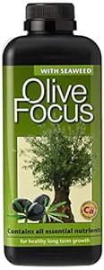 Olive Focus konzentrierter Flüssigdünger, 1 l