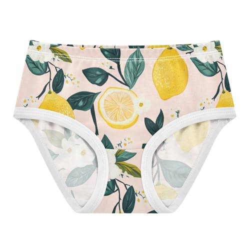 Wusikd Lemon Flowers Girls' Underwear Cotton Leaves Girls Briefs Soft Toddler Underwear 2T