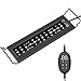 NICREW 24/7 Aquarium LED Beleuchtung, Aquarium Lampe mit Timer, IP67 Wasserdicht, 28-42 cm