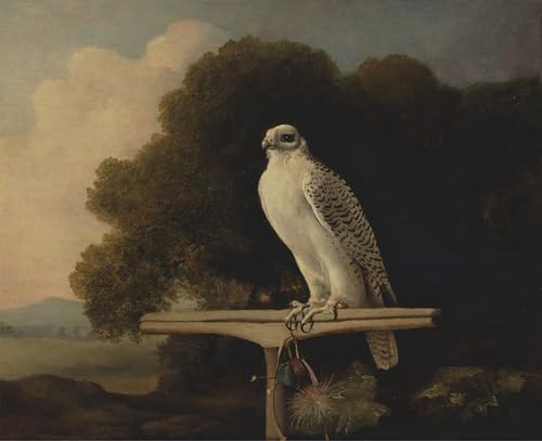 Poster Faucon du Groenland Stubbs pour habiller un grand mur vide 60x90cm