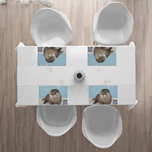 Cute Otter Placemat For Holiday Party Table Decoration Heat Resistant And Waterproof Wipeable, 18X12 #TOP6