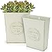 Belle Vous Vase Vintage à Fleurs en Métal Blanc (Lot de 2) - H22 cm - Vase Shabby Vintage Chic Galvanisé - Pot en Zinc Décoratif pour Décoration de Maison/Mariage et Plantes