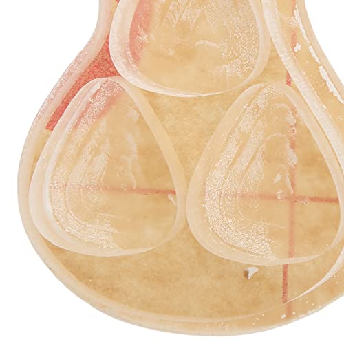 Étui de Rangement pour Médiator de Guitare, étui de Support de Médiator Transparent pour Basse, en Forme de Guitare - Les Beatles, Paul McCartney, John Lennon, RIngo Starr, George Harrison Étui de Rangement pour Médiator de Guitare, étui de Support de Médiator Transparent pour Basse, en Forme de Guitare – Image 4