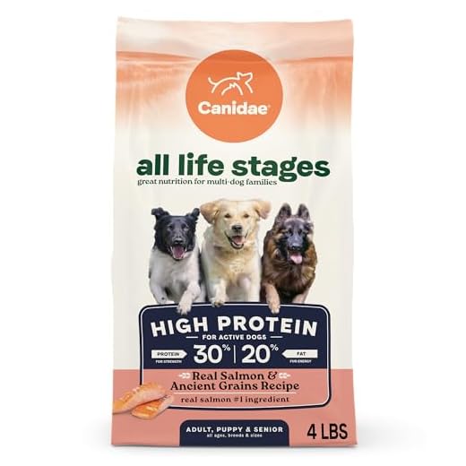 Canidae All Life Stages High Protein Dry Dog Food, Salmon & Ancient Grains Recipe, 4 lbs.