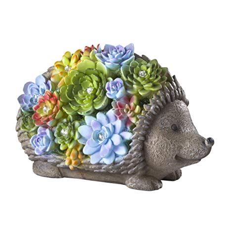 Plow & Hearth All-Weather Solar Lighted Colorful Succulents Resin Animal Yard and Garden Statue Accent with Bright White LED Lights and Built-in Solar Panel on Back (Hedgehog)
