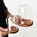 ZEERSHEE 2pcs Glass Display Dome Cloche with Wooden Base for Home Wedding Party Decor (3.9 x 5.1in/5.7 x 6.9in)