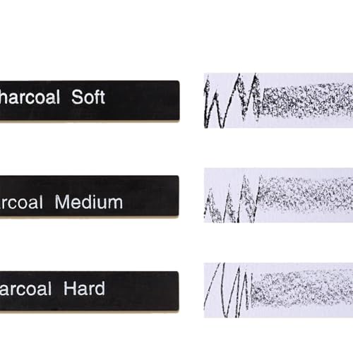 Helweet Kohle-Bleistifte, Zeichenstifte, Kohlestift, Zeichenwerkzeug, Malset für Anfänger, Profis und Künstler, zum Malen, Zeichnen, Ausmalen, 10 Stück