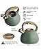 Poliviar Tea Kettle, 2.7 Quart Seaweed Green Finish with Wood Pattern Handle Loud Whistle Food Grade Stainless Steel Teapot, Anti-Hot Handle and Anti-Rust, Suitable for All Heat Sources (JX2020-SB30)