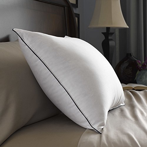 10 best pacific coast pillows for 2021 Sideror Reviews