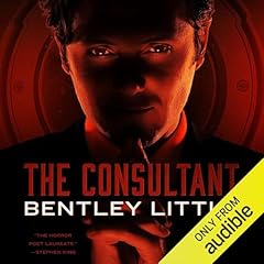 The Consultant Titelbild