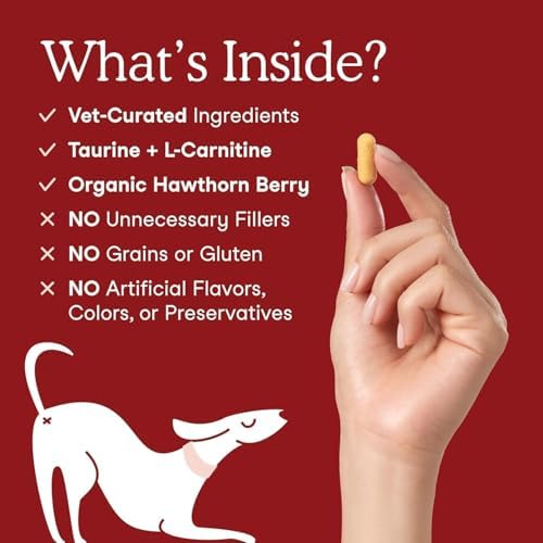 Fera Pets Cardiac Support — bottom and base construction detail