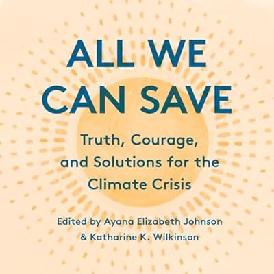 All We Can Save