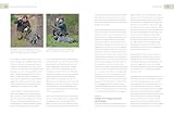 Der Jagdgebrauchshund: Erfolgreiche Jagdhunde Ausbildung. Erziehen – Abrichten – Führen (BLV Jagdhunde)
