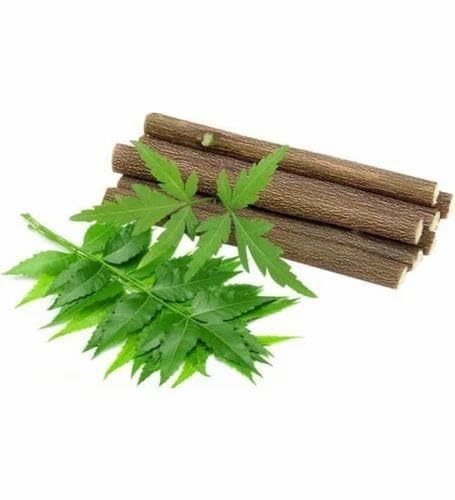 Neem Tooth Sticks | Pack of 25 | 100% Natural Neem Datun for Herbal Oral Care | Ayurvedic Teeth Cleaning Sticks | Fresh Breath & Gum Care-image-18