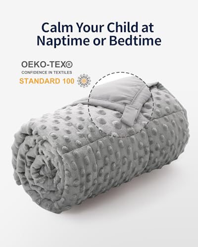Image of Mr. Sandman Weighted Blanket 7LBS 41 x 60 Inches, Minky Dots Heavy Blanket with Glass Beads, Soft and Cooling for School and Home, Grey