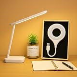 TRIPLAZEE LED Desk Lamps with a USB Port Eye Caring Table Lamp Dimmable Daylight Flexible Energy Saving,Desk Lamp for Office Bedroom, Study Reading Light, Dorm Room Essentials (Stepless Desk Lamp)