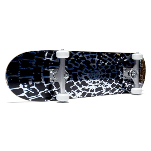 Image of [CCS] Skateboard Complete | Maple Wood | Professional Grade | Fully Assembled with Skate Tool & Stickers | Adults, Kids, Teens, Youth | Boys & Girls