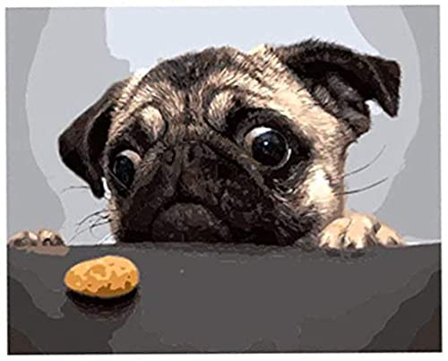 Wowdecor Paint by Numbers for Adults Beginner Kids, Number Painting - Pug Dog and Cookie 40x50 cm - Wall Art Gifts (Frame)