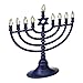 Rite Lite Blue Plastic Electric LED Low Voltage Chanukah Menorah with Clear Bulbs - Hanukkah Menorah Battery or USB Powered - Includes a Micro USB 4' Charging Cable