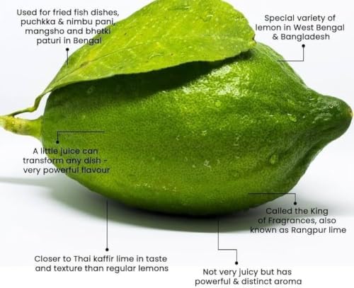 Image of Gondhoraj Lemon Live Fruit Plant for Home Garden, Aromatic Citrus Tree Sapling for Outdoor Gardening, 1 Plant