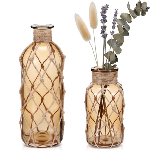 Image of Chuangdi Set of 2 Coastal Glass Flower Vase with Boho Rope, Light Brown