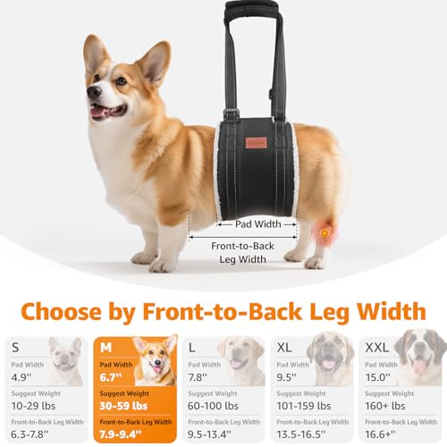 Image of LOOBANI Dog Sling for Medium Dogs Hind Leg Support, Portable Dog Lift Harness for Back Legs, Comfortable Leg Support Assistance for Elderly Dogs with Hip, ACL Brace, Senior, Injured