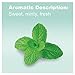 doTERRA - Spearmint Essential Oil - 15 mL