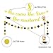 2022 Graduation Decorations, She Came She Saw She Mastered Banner, Gold Glitter Masters Graduation Decorations for Masters Party Mastered it Graduation Banner