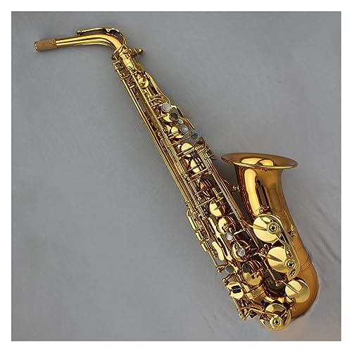 NVbN^Cv S[hbJ[ hCc{fB AgTbNX }EXs[Xt