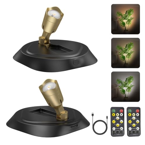 La mejor comparación de Iluminación para plantas - los preferidos. 47 EUIOKUN Paquete de 2 focos LED para interiores, luces recargables con control remoto y temporizador para plantas, 3000 K/4000 K/6000 K, montaje en techo, negro y dorado