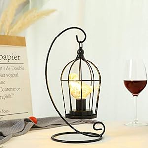 JHY DESIGN Birdcage Bulb Decorative Lamp Battery Operated 13" Tall Cordless Accent Light with Warm White Fairy Lights Bird Bulb for Living Room Bedroom Kitchen Wedding Xmas(Black) JHY DESIGN Birdcage Bulb Decorative Lamp Battery Operated 13 Tall Cordless Accent Light with Warm White Fairy Lights Bird Bulb for Living Room Bedroom Kitchen Wedding XmasBlack