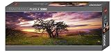 Heye - Puzzle de 2000 piezas (136 x 48 cm) (Heye Verlag HEYE 29472)