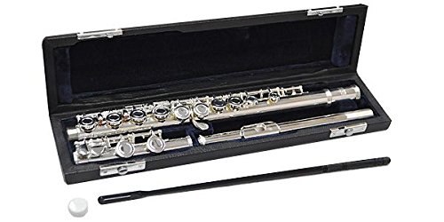 Amazon | 【国内正規品】 PLAYTECH プレイテック C管フルート