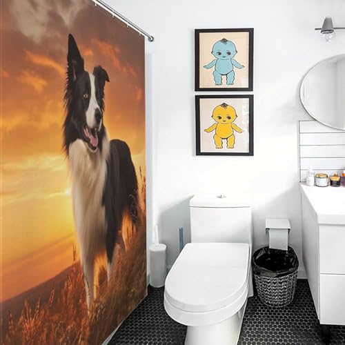 Rideau de douche chien imperméable fini les inondations de salle de bain