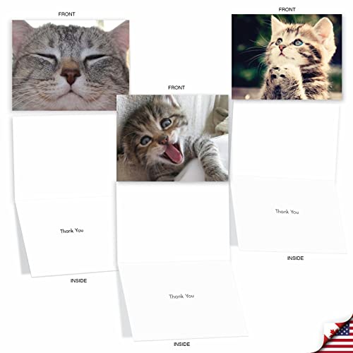 Image of The Best Card Company 10 Assorted Thank You Notes Bulk Box Set 4 x 5.12 Inch with Envelopes (10 Designs, 1 Each) Smitten Kittens M6485TYG