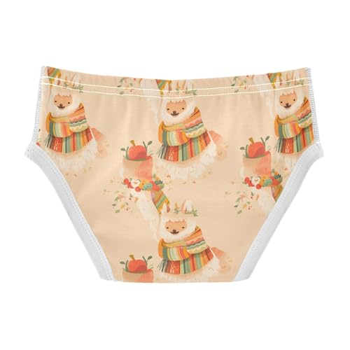 visesunny Boys Potty Training Underwear Alpaca Scarf Fruit Breathe Cotton Briefs Size 2T-8Y for Toddler2