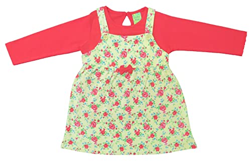Image of Clothe Funn New Born Baby Girl Dress Knee Length