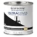 Rust-Oleum 1979730 Painters Touch Latex, Half Pint, Gloss Black