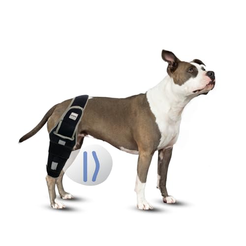 Image of Dog Leg Support - for Leg Wounds After Surgery for Ligament tears, with Support Strips to Protect the Dog's Leg Wounds. Breathable and Comfortable (S)