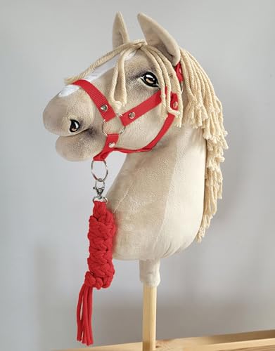 Ensemble Hobby Horse de Sellerie Licol A3 et Attache Ficelle Finition Rouge