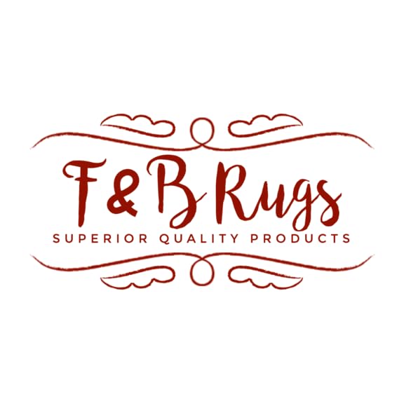 Image of F & B RUGS ; SUPERIOR QUALITY PRODUCTS Firoz and Brothers Handwoven Super Soft Indoor Modern Shag Microfibre Silky Fluffy Smooth 6x8 feet Beige Ivory