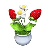 Joekaran Crochet Flowers Cute Little Potted Flower, Gift for Birthday, Teacher’s Day, Graduation, Anniversary, Christmas, Decor for Car Dashboard,Home Office Decoration (Strawberry)