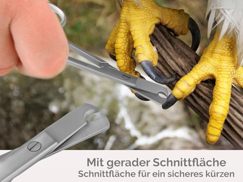 Krallenschere Wellensittiche Krallenzange Vögel gerader Krallenschneider 9,5 cm - Krallen kürzen von Papageien Sittiche Kleintiere - Rostfreier Edelstahl - Markenqualität vom Fachhandel
