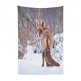 EYLOZS Bedding Cama Mantas para Cama, Acogedora, Suave, Ligera, Cálida y Transpirable Manta para Silla y Sofá,Zorro, campo, paisaje nevado, animal salvaje peludo, caza, vulpino, frío inviern,130x150cm