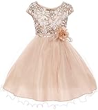 BluNight Collection Big Girls Elegant Cap Sleeve Sequin Pageant Easter Wedding Flower Girl Dress Champagne 14 (2J1K1S6)