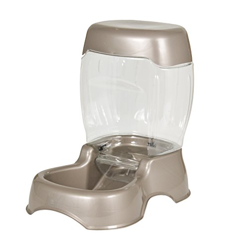 The 25 Best Automatic Cat Feeders Of 2020 Cat Life Today
